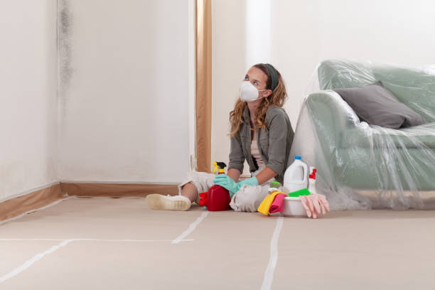 Reliable Black Mold Removal contractor in Queen, PA by WQB Mold Removal